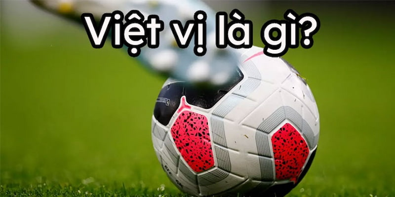 viet-vi-la-gi-khai-quat-thong-tin-ve-luat-viet-vi-cho-khach-hang